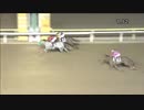 2018年5月11日大井競馬11R あおば賞(B2-三組) アムールブラン