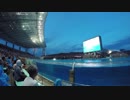 【ノーカット版】名古屋港水族館イルカのナイトショー