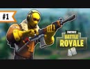 【Fortnite】このバトルロイヤルな世界で生き残る part1