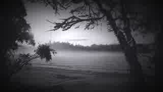 Solitude / 初音ミク