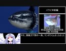 ぬし釣り64～潮風にのって～ 全魚種RTA　2時間46分38.6秒　part4/5