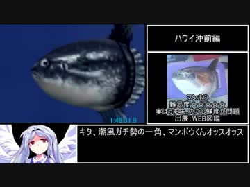 ぬし釣り64～潮風にのって～ 全魚種RTA　2時間46分38.6秒　part4/5