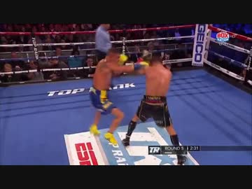 ワシル・ロマチェンコＶＳホルヘ・リナレス