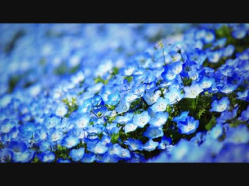 【癒し】DNAの修復【ソルフェジオ周波数528Hz】