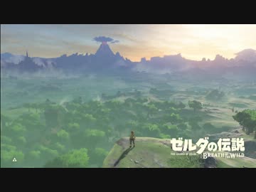 厄災かけますね.botw1