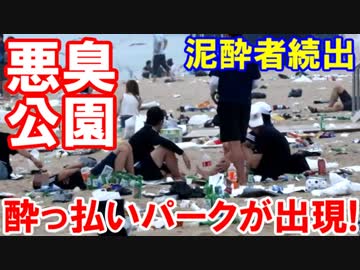 【韓国に出現した酔っ払いパークが臭いと話題】 泥酔者続出で行政も麻痺状態！もちろんトイレも・・・解放型だ！