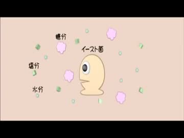 ホモと学ぶカンパンができるまで