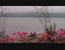 Turnover - Super Natural