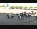 2018年5月12日佐賀競馬10R 筑後川特別(A1・A2) シゲルクロマグロ