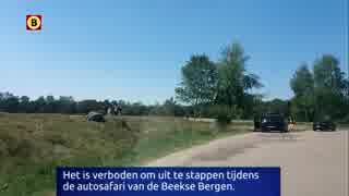 サファリパークでチーターに襲われる家族