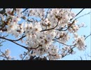 Tinker Bell　※ピアノ作曲