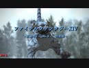 ＦＦ１４　白虎征魂戦攻略動画～懐かしの名曲付～