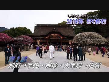 しろたんと行く　2018年ＳＦＣ修行　国内３月場所編　その２