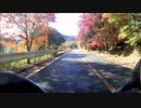 場所もわからず走ってみた。