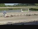 2018年5月12日高知競馬4R 片山ファミリー協賛 片山陽加生誕記念特別(C3-2組) サンチャールストン