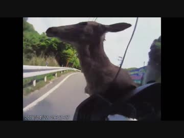 日本の車載映像集37