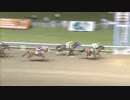 2018年5月14日川崎競馬10R 第１０回開成町瀬戸屋敷風鈴まつり特別(B2・B3) クインズカリナン