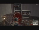 【PUBG】初心者がどうすれば勝てるか教えてください！ part2【実況】