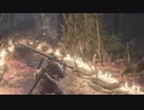 ダークソウルⅢ 絶望への完全初見実況プレイ その３０