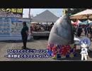 ひとりでとことこツーリング57　～いちき串木野市 まぐろフェスティバル～