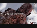 God of War　ゴッドオブウォー　フォトモードで遊んでみた。