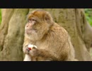動物園に行ったこと　鮎瀬陽介の日記