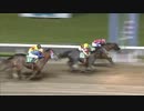 2018年5月16日川崎競馬10R メイスター賞(JRA500万下・B2B3) ファージンゲール