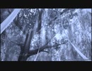 【MAD】MHW自作PV MHW×ACEOP