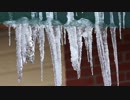 Melting Icicles　沼野忠裕