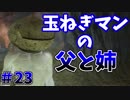 【ソウルシリーズツアー３章】ダークソウル２～スカラーオブザファーストシン～part23