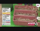 QVC福島 - お手軽雑草対策！レインボー薬品『除草剤』 ver.石橋