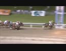 2018年5月17日川崎競馬10R 新緑（しんりょく）特別(B1-二・B2-一) アドミラルティ