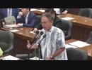自由党 玉城議員が衆院内閣委での質疑の終りに沖縄の「一国二制度化」を口走るｗ