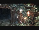 【聖杯】血石求めて潜ります。【実況】　10
