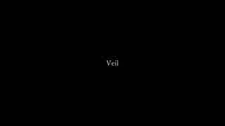 初音ミク - Veil