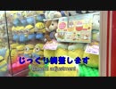 【クレーンゲーム】超巨大もふもふ！おめめクリクリの可愛いハムスターにチャレンジ！【UFOキャッチャー】