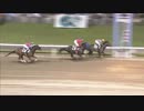 2018年5月18日川崎競馬11R 小田原市特別(B2-二組) アップドラフト