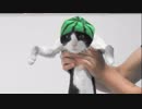 スイカを収穫したら猫がついてきた