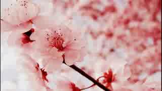 フリー素材　ウリヤコウ