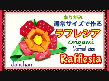 【折り紙】通常サイズで作るラフレシア（花）