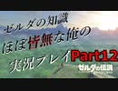 【ゼルダの伝説ブレスオブザワイルド】ゼルダの伝説の知識ほぼ皆無な俺の実況プレイpart12【初見プレイ】