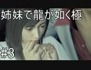 【姉妹実況】龍が如く極　#3【第ニ章　空白の十年】