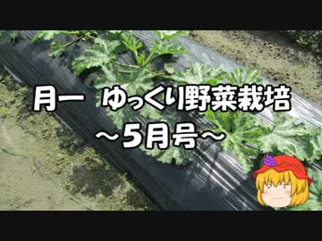 月一 ゆっくり野菜栽培 Part10