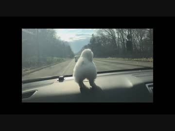 ポテさんと旅に行こう！【札幌から釧路へ】