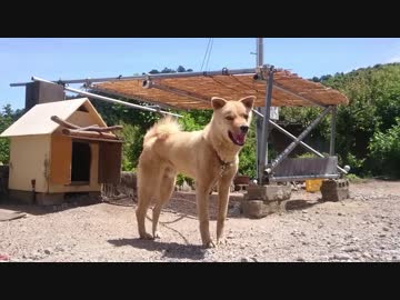 作業用メイリオ