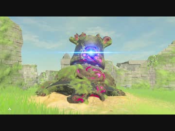 厄災かけますね.botw2
