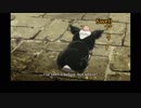 ジョジョの奇妙な冒険SC 英語吹替版 第37話 If people can change that easily, life wouldn't be so hard