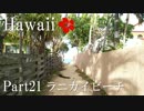 【ゆっくり】南国ハワイ一人旅　Part21　ラニカイビーチ