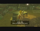 三十路喪女のゼルダの伝説ブレスオブザワイルド記Part3