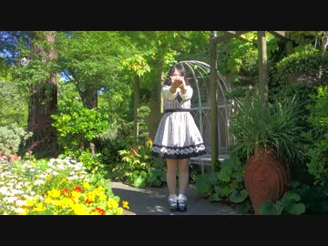 ［星月雨］今好きになる。【踊ってみた】